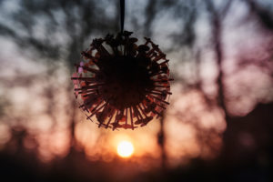 Icon image corona crisis, window decoration reminiscent of corona virus, ball before sunset Icon image corona crisis, window decoration reminiscent of corona virus, ball before sunset